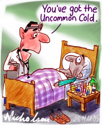 common cold virus structure. common cold bacteria